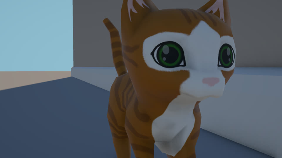 The cat, very close, looking at you